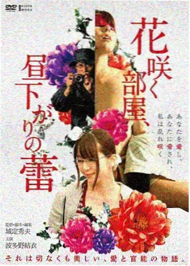 青春电影十七岁的夏天海报